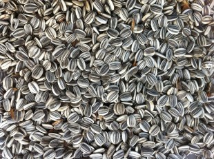 sunflower-seeds-870782_1920